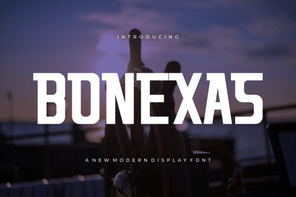 Bonexas: Elevating Visual Communication with Modern Typography