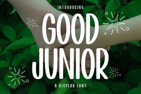 Refining Visual Identity with Good Junior: A Modern Typography Choice